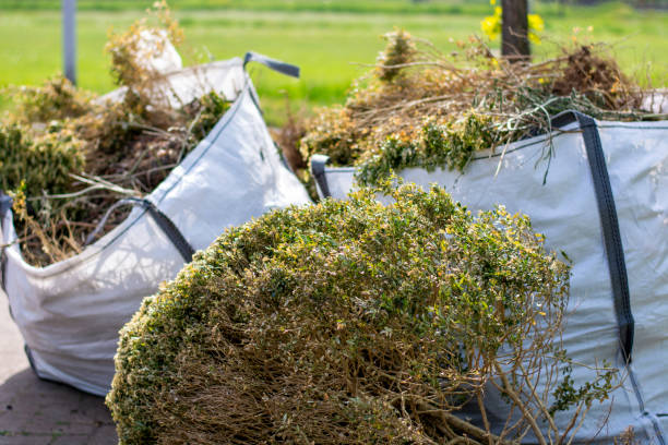Best Hoarding Cleanup  in Zimmerman, MN